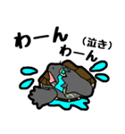 亀と飼い主スタンプ（個別スタンプ：26）