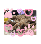 しんご♡（個別スタンプ：1）
