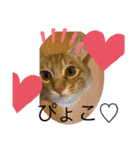 しんご♡（個別スタンプ：3）
