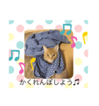 しんご♡（個別スタンプ：5）