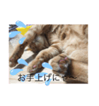 しんご♡（個別スタンプ：6）