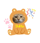 うちのつよちゃんスタンプ（個別スタンプ：8）