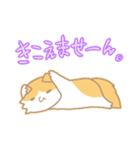 長毛にゃんこ/レッドタビー＆ホワイト2（個別スタンプ：4）