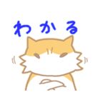 長毛にゃんこ/レッドタビー＆ホワイト2（個別スタンプ：6）