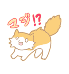 長毛にゃんこ/レッドタビー＆ホワイト2（個別スタンプ：8）