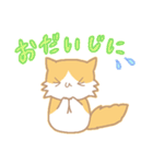 長毛にゃんこ/レッドタビー＆ホワイト2（個別スタンプ：17）