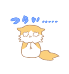 長毛にゃんこ/レッドタビー＆ホワイト2（個別スタンプ：21）