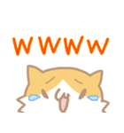 長毛にゃんこ/レッドタビー＆ホワイト2（個別スタンプ：30）