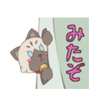 ハコネコちゃん（個別スタンプ：1）