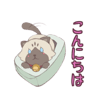 ハコネコちゃん（個別スタンプ：2）