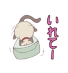 ハコネコちゃん（個別スタンプ：3）