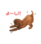 ももたん❣️ぺったん❣️（個別スタンプ：6）