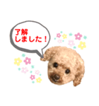 ももたん❣️ぺったん❣️（個別スタンプ：8）