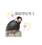 まめさんの日常（個別スタンプ：8）