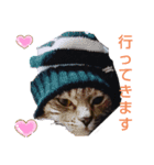 私は猫よ（個別スタンプ：5）