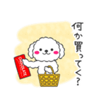 仲良しプードルちゃん＊家族連絡用＊（個別スタンプ：10）