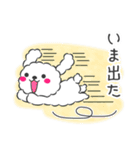 仲良しプードルちゃん＊家族連絡用＊（個別スタンプ：14）