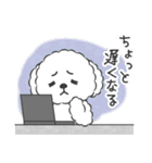 仲良しプードルちゃん＊家族連絡用＊（個別スタンプ：15）