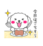 仲良しプードルちゃん＊家族連絡用＊（個別スタンプ：19）