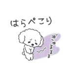 仲良しプードルちゃん＊家族連絡用＊（個別スタンプ：20）
