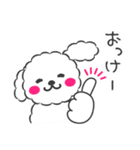 仲良しプードルちゃん＊家族連絡用＊（個別スタンプ：23）