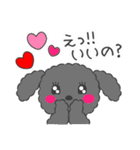 仲良しプードルちゃん＊家族連絡用＊（個別スタンプ：24）
