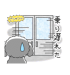 仲良しプードルちゃん＊家族連絡用＊（個別スタンプ：37）