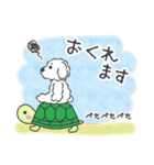 仲良しプードルちゃん＊家族連絡用＊（個別スタンプ：40）