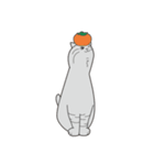 お百姓さんになりたい猫（個別スタンプ：6）