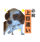 エリアードになりたいエリィ（個別スタンプ：2）