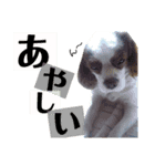 エリアードになりたいエリィ（個別スタンプ：3）