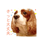 エリアードになりたいエリィ（個別スタンプ：4）