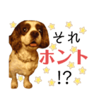 エリアードになりたいエリィ（個別スタンプ：6）