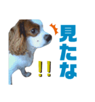 エリアードになりたいエリィ（個別スタンプ：7）