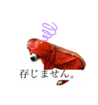 ルーイ（個別スタンプ：2）