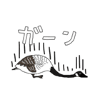 マイナーで個性的な動物たち（個別スタンプ：11）