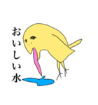 トリとしては（個別スタンプ：21）