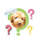 リヨンスタンプ〜第2弾〜（個別スタンプ：8）