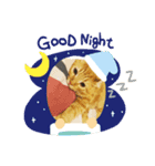 ほのぼーのねこ（個別スタンプ：3）