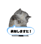 ビッケ率いる3匹（個別スタンプ：5）