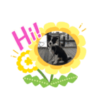 Paz Stamp（個別スタンプ：8）