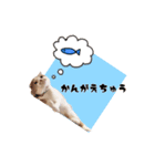スコティッシュの大福スタンプ☆第2弾（個別スタンプ：4）