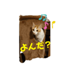 はな＆こむぎ（個別スタンプ：2）