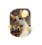 はな＆こむぎ（個別スタンプ：6）