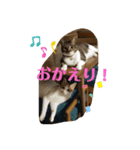はな＆こむぎ（個別スタンプ：8）