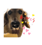 ！マロマロン！2（個別スタンプ：7）