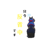 ten004（個別スタンプ：4）