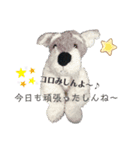 ちょみ（個別スタンプ：5）