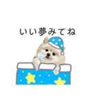ポメラニアンのあめちゃん（個別スタンプ：8）