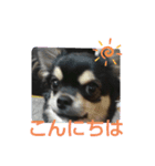 くみな（個別スタンプ：1）